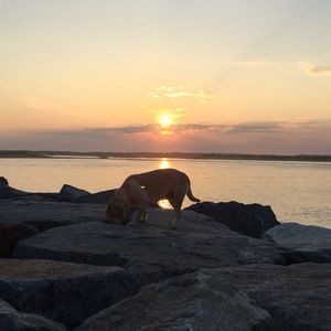 Meet your Posher, Casey